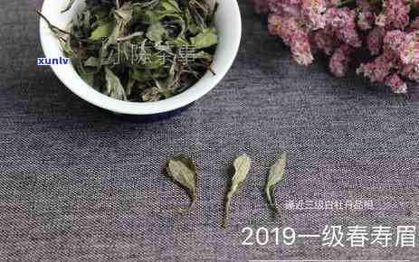 四分别喝什么茶？一年四每个节喝什么茶好？选择与适合方案详解