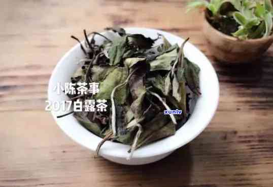 什么茶叶适合蒸着喝呢，探讨适合蒸着喝的茶叶种类