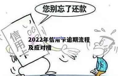 2022年信用卡逾期流程，全面解析：2022年信用卡逾期的应对流程