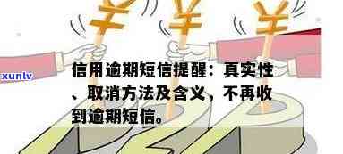 蒙古佘太玉选购全攻略：从挑选技巧到内蒙古产地解析