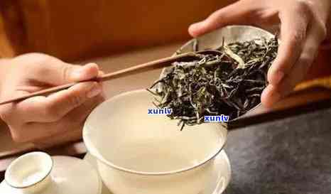 冰岛台地茶是什么味道，解密冰岛台地茶的独特口感：你从未体验过的味觉冒险