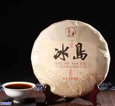 世兴冰岛茶研社-世兴冰岛普洱茶叶价格