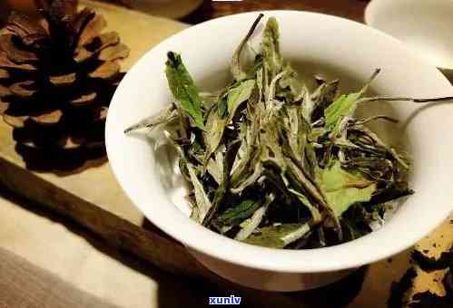 冰岛白茶：茶种、种植及功效全解析，是否为白茶？