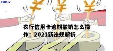 农行信用卡累计逾期消除办法：新法规解读与处理技巧