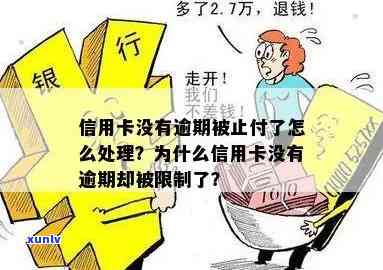 信用卡无逾期被止付：如何解决？全部解答