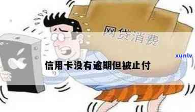 信用卡无逾期被止付-信用卡无逾期被止付 法律依据