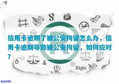 信用卡逾期被公安通知怎么办，信用卡逾期导致公安介入，如何应对？