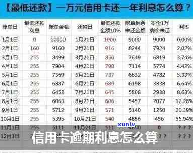 信用卡逾期利息高得离谱的原因及解决办法