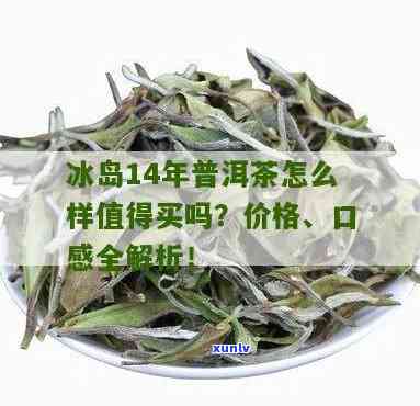 14年的普耳茶冰岛-普尔茶冰岛的价格