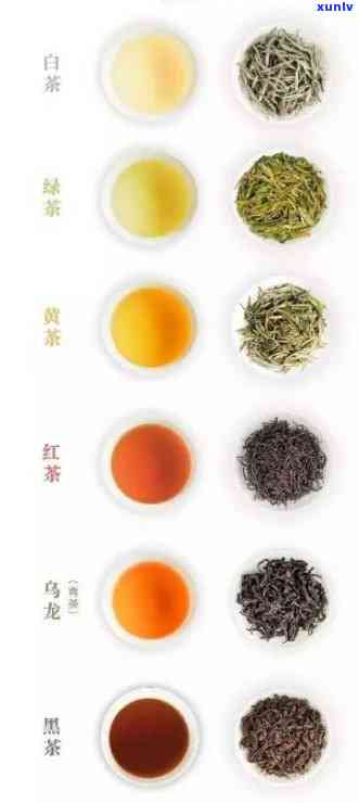 与冰岛茶齐名，并驾齐驱：探究与冰岛茶相媲美的茶叶种类