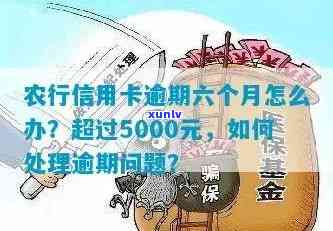 农行信用卡5000逾期6个多月，会有什么后果？已逾期4-5个月、1年及3个月的情况如何处理？