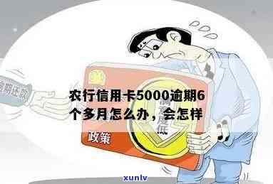 农行信用卡5000逾期6个多月，会有什么后果？已逾期4-5个月、1年及3个月的情况如何处理？