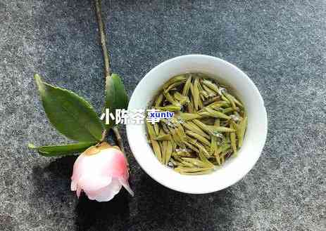 湖南阳有什么茶叶品种，探索湖南阳的茶叶品种：一场味蕾的旅程