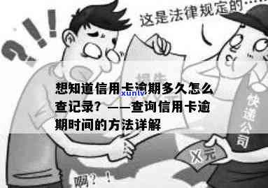 滇红碧螺：一种独特的红茶品种及其与普洱茶和碧螺春的比较