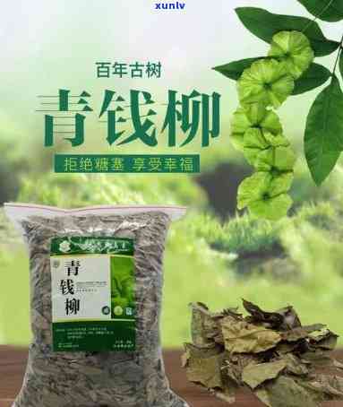 青钱柳属于什么茶叶-青钱柳是属于什么茶?