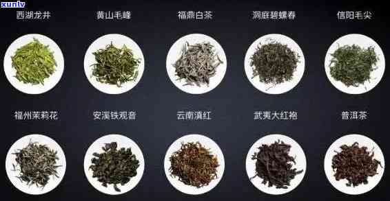 著名茶叶品种大全，探索茶的世界：著名茶叶品种大全