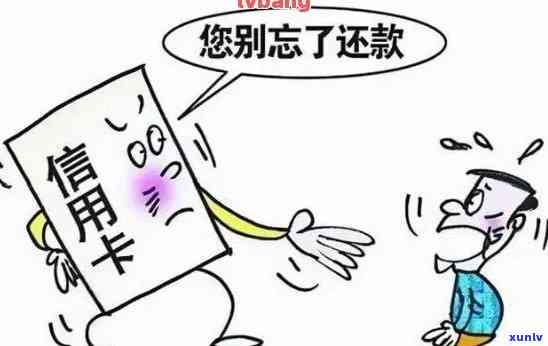 重灾区信用卡逾期：如何处理、后果及应对措？