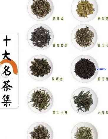 十大名茶叶品种图片大全，探索茶文化：十大名茶叶品种图片大全