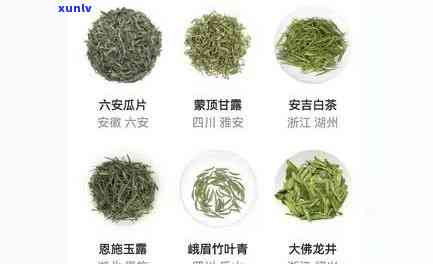 十大名茶叶品种图片-十大名茶叶品种图片大全