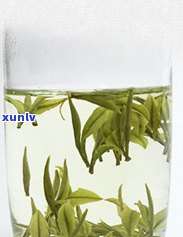 冰岛大树茶价格，探究冰岛大树茶的价格：一份详尽的市场分析报告