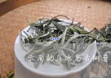 临沧疆库冰岛古树茶-云南临沧勐库冰岛古树茶