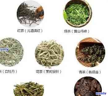 最全的茶叶种类大全-最全的茶叶种类大全图片