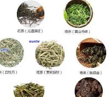 最全的茶叶种类大全-最全的茶叶种类大全图片