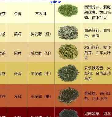 哪个地方的茶叶好喝又香？比较各大茶区的味道、香气和价格