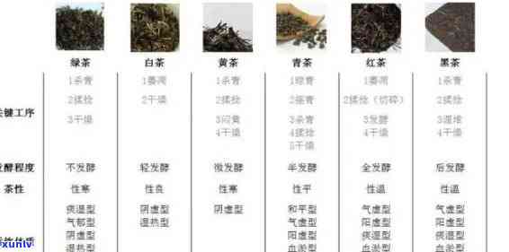 什么级别的茶叶好？从入门到进阶，一文告诉你各级别茶叶的特点与口感！