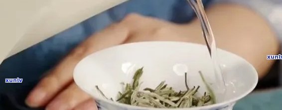 茶叶要怎么做才好喝又简单？教你做出美味茶饮的视频教程！