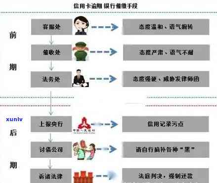 信用卡逾期消除的规则-信用卡逾期消除的规则是什么