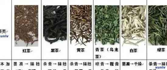 茶叶什么等级的好喝-茶叶什么等级的好喝一点