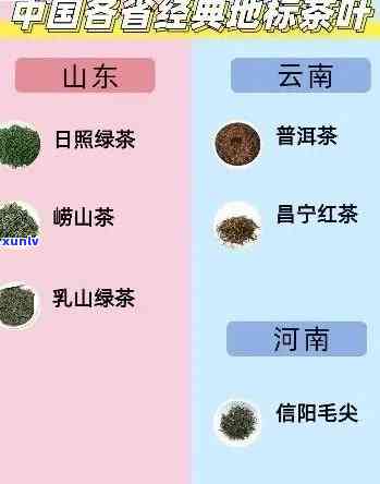 哪个省份的茶叶，探寻茶叶之最：哪个省份的茶叶口感？