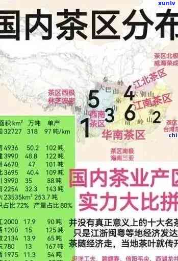 冰岛龙珠茶价格详解：种类、档次及市场价格全揭秘