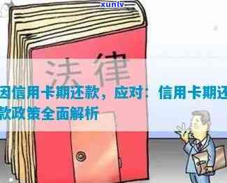 厦门信用卡逾期还款政策规定，深入了解厦门信用卡逾期还款政策规定