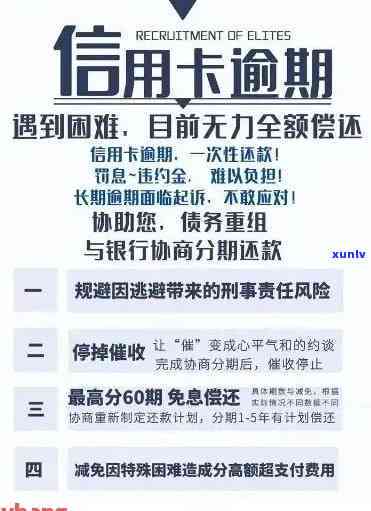 厦门信用卡逾期还款政策规定，深入了解厦门信用卡逾期还款政策规定