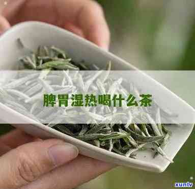 脾胃湿热喝什么茶叶好，如何缓解脾胃湿热？推荐适合饮用的茶叶！