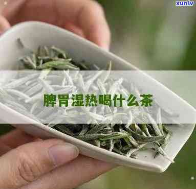 脾胃湿热泡什么茶调理，喝什么茶能有效调理脾胃湿热？