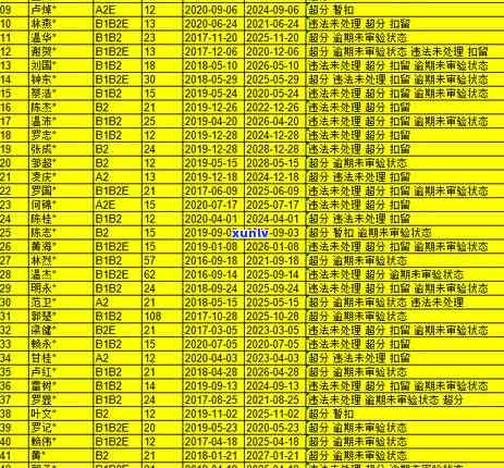 清远信用卡逾期案例分析报告，深度解析：清远地区信用卡逾期案例分析报告