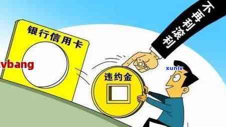 2021年信用卡逾期新政策，独家揭秘：2021年信用卡逾期新政策全解读！