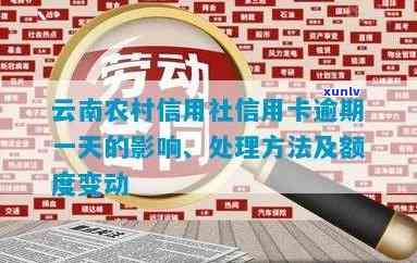 云南农村信用卡逾期可以用云南农村信用社银行卡还款吗，云南农村信用卡逾期，如何使用云南农村信用社银行卡进行还款？