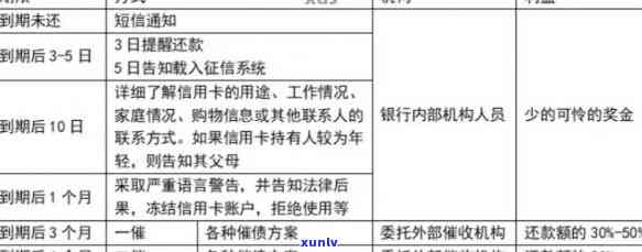 2019年信用卡贷款逾期案例全解析：最新案例、深度分析与趋势预测