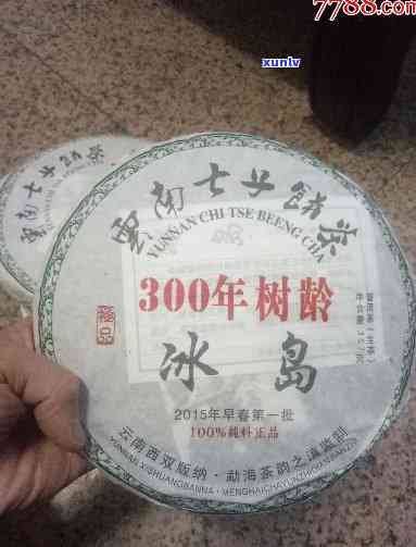 300年古树茶冰岛-300年古树茶冰岛绿印