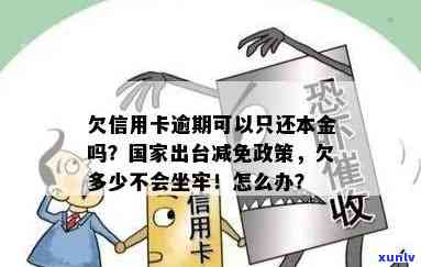 出台减免政策：欠信用卡逾期能否只还本金？