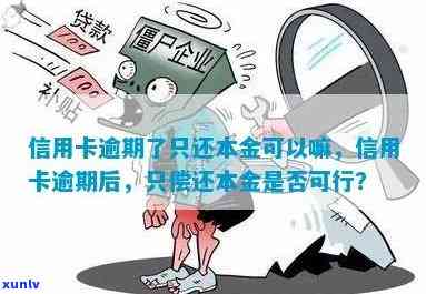 欠信用卡可以还本金吗，如何偿还信用卡债务：只还本金可行吗？