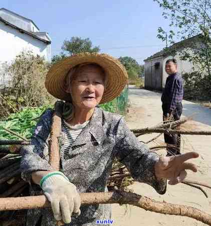 安徽桐城有什么茶叶出名，探寻安徽桐城的知名茶叶品种