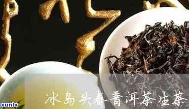 冰岛头春茶是什么茶-冰岛头春茶是什么茶种