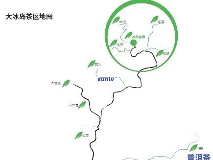 冰岛产区古树茶有哪些品种？产地、口感特点及地理位置全解析