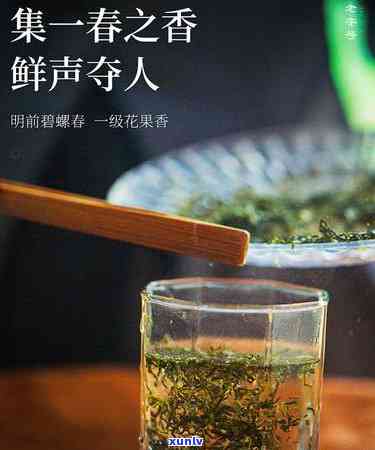 黄山十大名茶，探秘黄山：揭秘十大名茶的魅力与故事