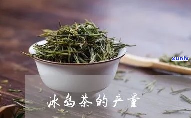 今年冰岛茶产量多广-冰岛茶的产量